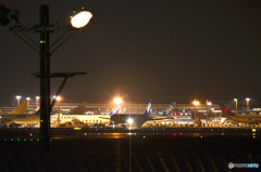 成田空港の夜
