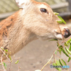 お食事タイム