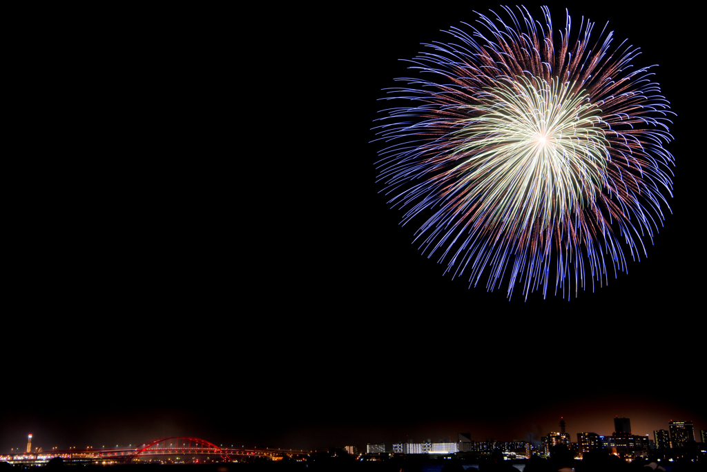 夜空に広がる大輪の花