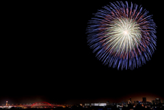 夜空に広がる大輪の花