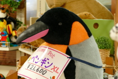 残りそうなペンギン
