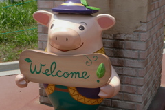 welcome
