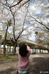 桜を撮る娘を撮る　１