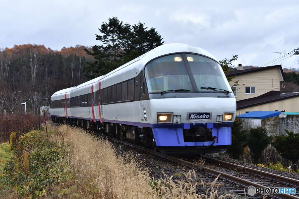D72_4164