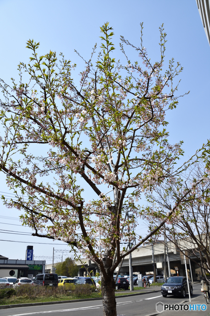 青空に向かって　2