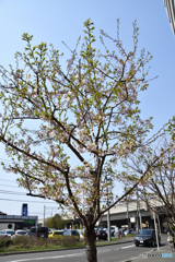 青空に向かって　2