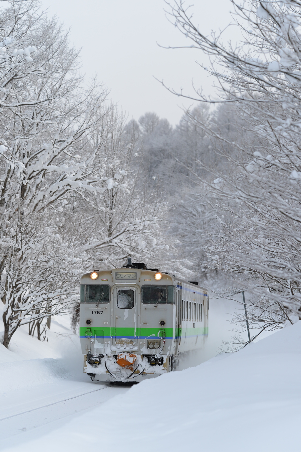 雪中寒木の中を