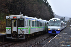 D72_4139