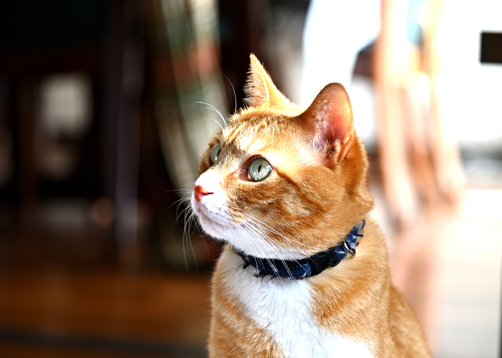 DSC_0054_01