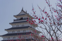 400年の島原城