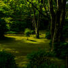 初夏の大河内山荘庭園