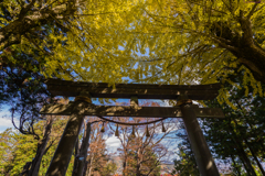 諏訪信仰発祥の地