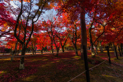 天龍寺紅く
