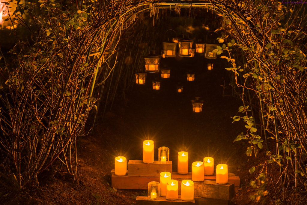 キャンドルを抜けて