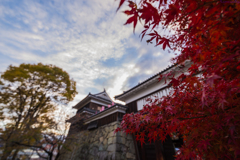 「落ちなかった」城