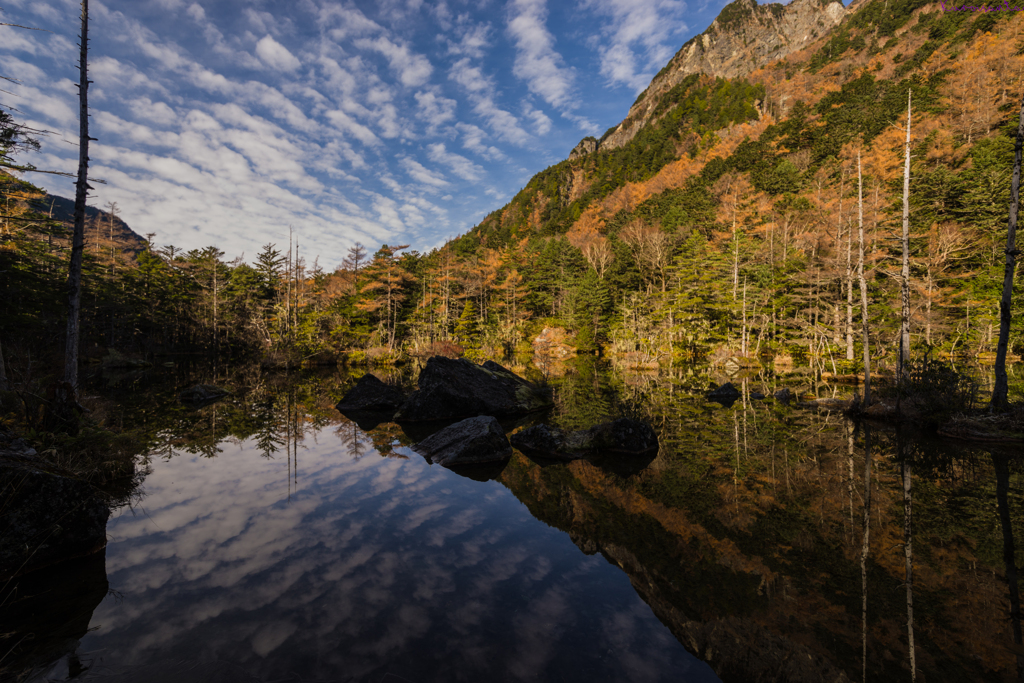 秋肥ゆる神垣内
