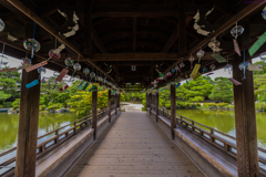 風の通り道