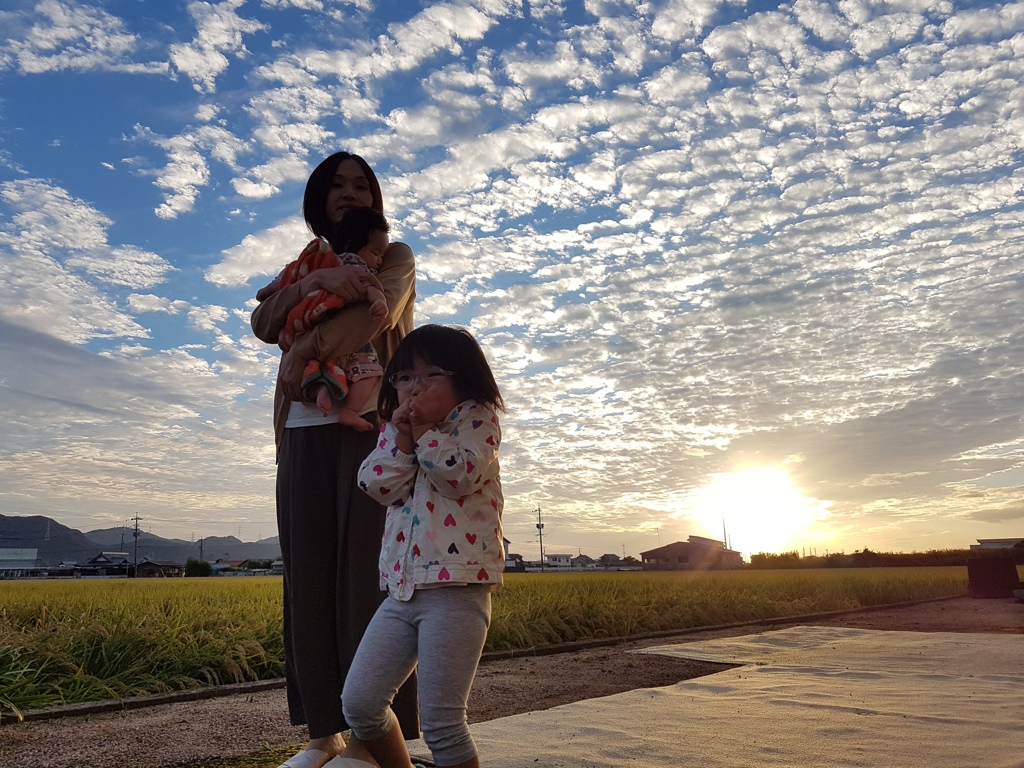 イワシと散歩