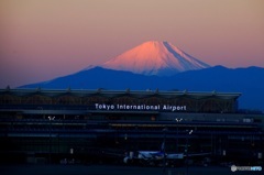 『 朝陽と富士山 』