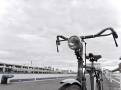 R0016555 