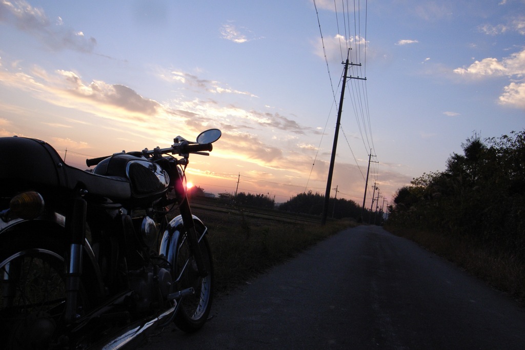RIMG6247