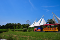 真夏の葛西臨海公園