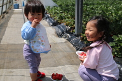 初めてのいちご狩り