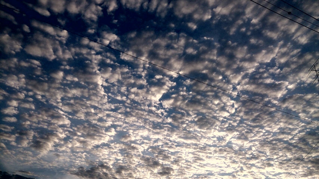 ただ空を撮る