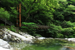 森の入り口