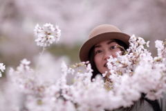 桜色に囲まれて
