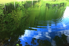 淵の主