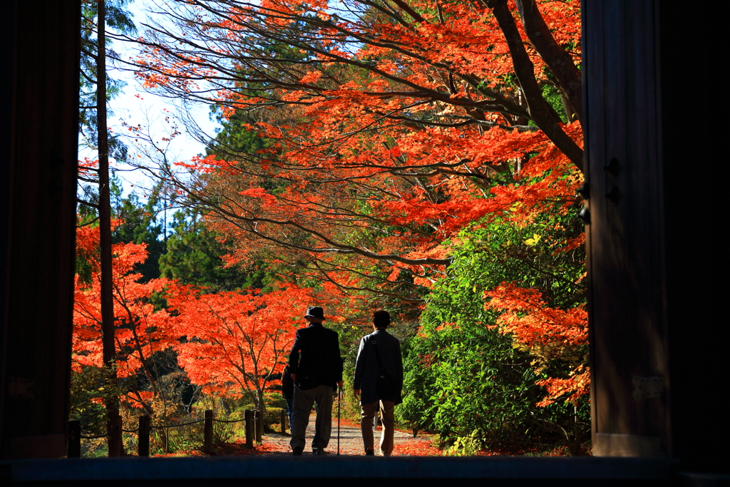 お寺参り日和