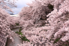 春の小川
