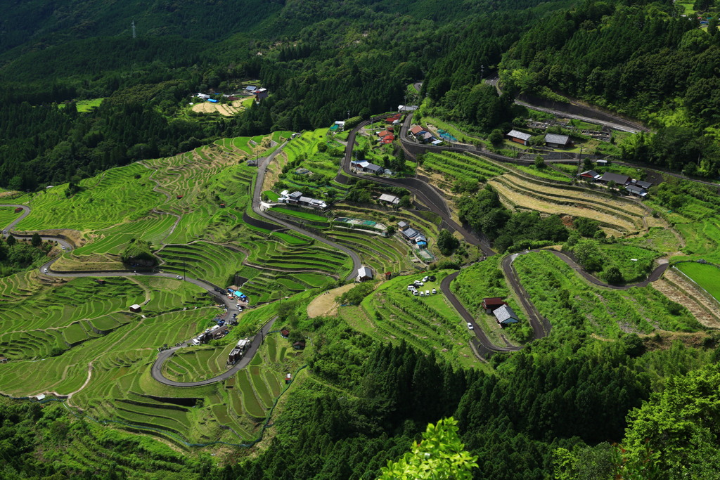 千代の田園