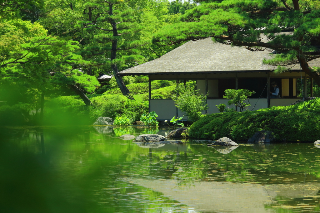 昭和記念公園にて