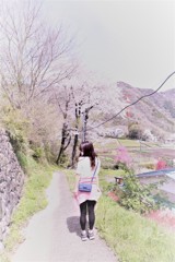 桜が似合う