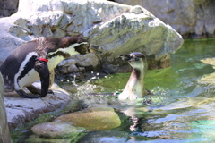 よこはま動物園