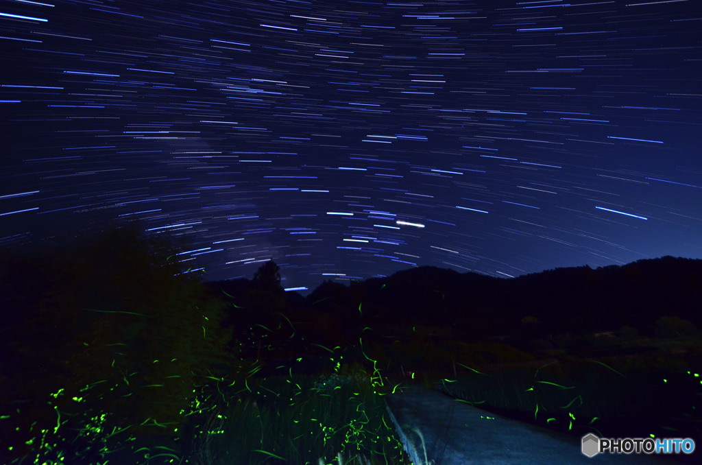 ホタルと南天の星空
