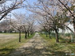 人がいない（笑）