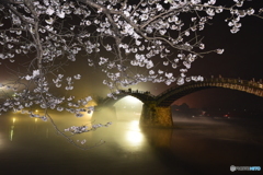 桜と橋