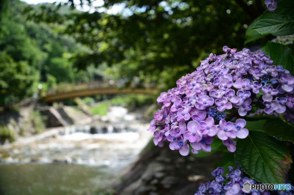 今年の夏も暑そう