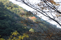 初秋の山肌