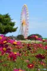 公園にて