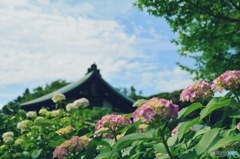 千葉県・本土寺