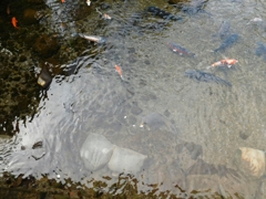 DSCN0427