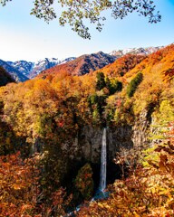 白水の滝