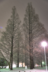 雪景色の公園