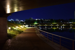 環水公園の灯り