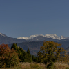 冠雪の立山と紅葉
