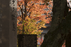 秋の護国神社